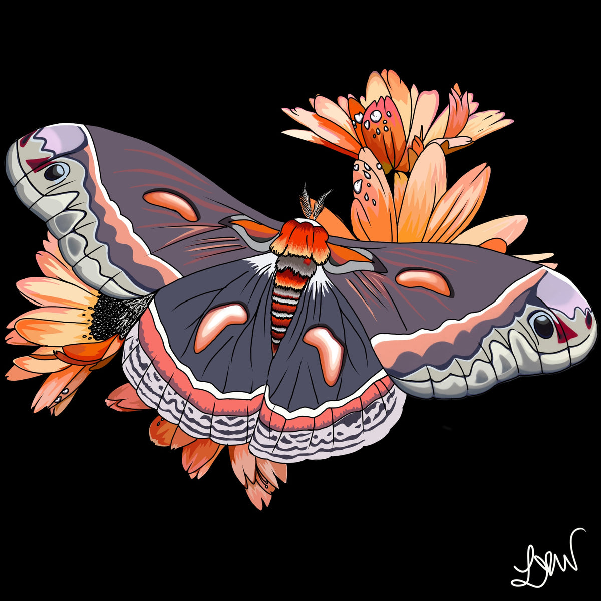 EMBERWING- Moth Art Print (8”X8”)