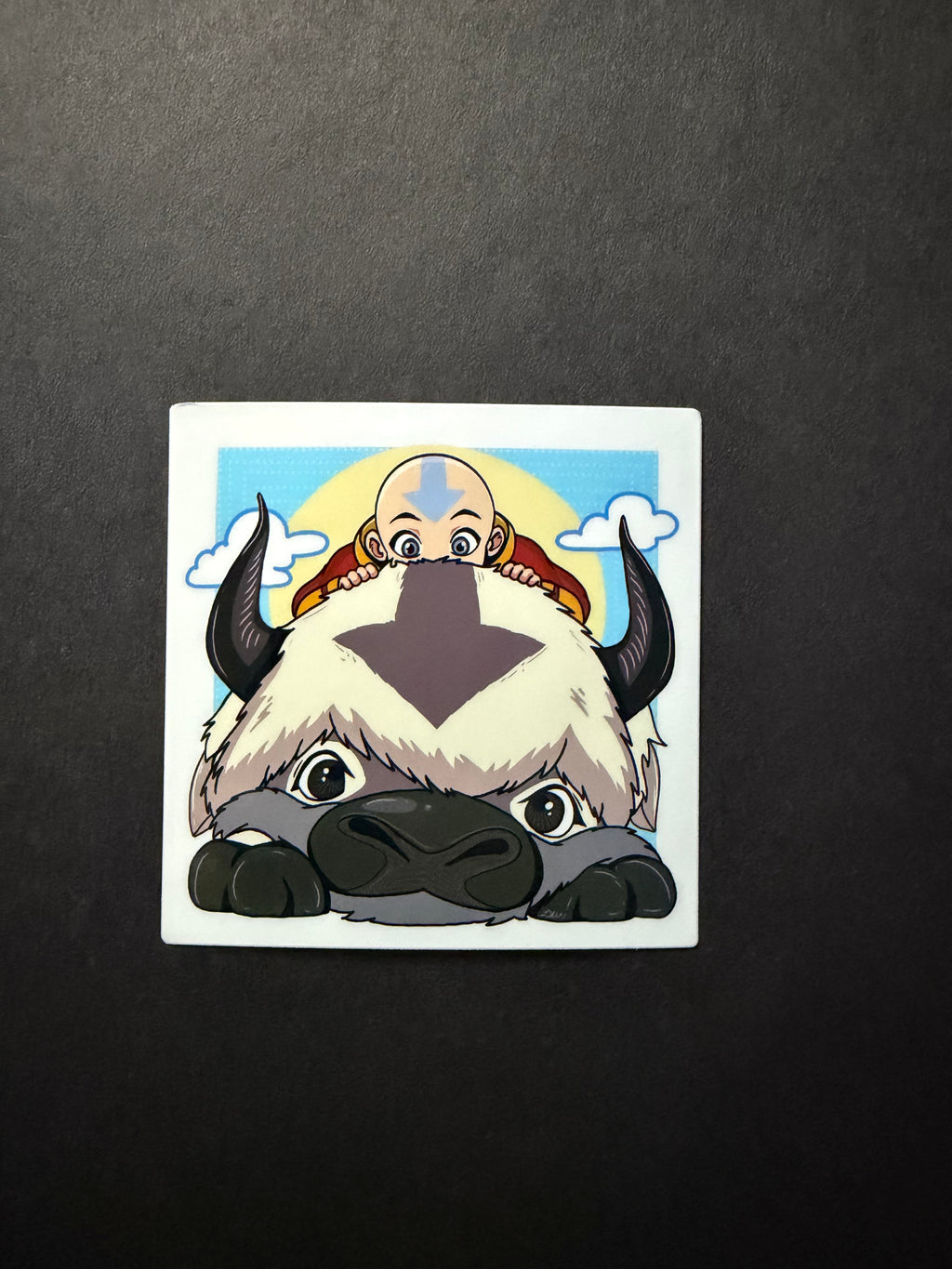 AANG AND APPA- Aang Inspired Vinyl Sticker
